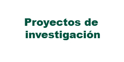Proyectos de investigacin