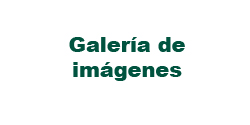 Galera de Imgenes