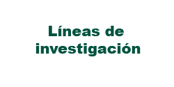 Lneas de investigacin